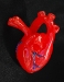 heart1-1.jpg